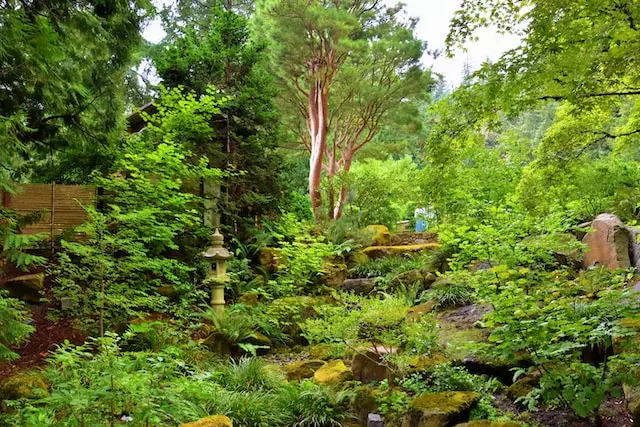 date in Japanese Garden